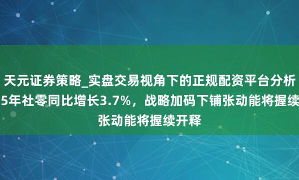 天元证券策略_实盘交易视角下的正规配资平台分析 2025年社零同比增长3.7%，战略加码下铺张动能将握续开释