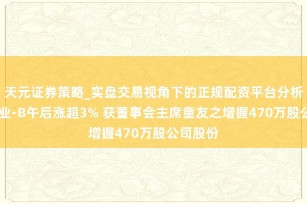 天元证券策略_实盘交易视角下的正规配资平台分析 开发药业-B午后涨超3% 获董事会主席童友之增握470万股公司股份